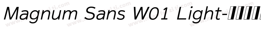 Magnum Sans W01 Light字体转换